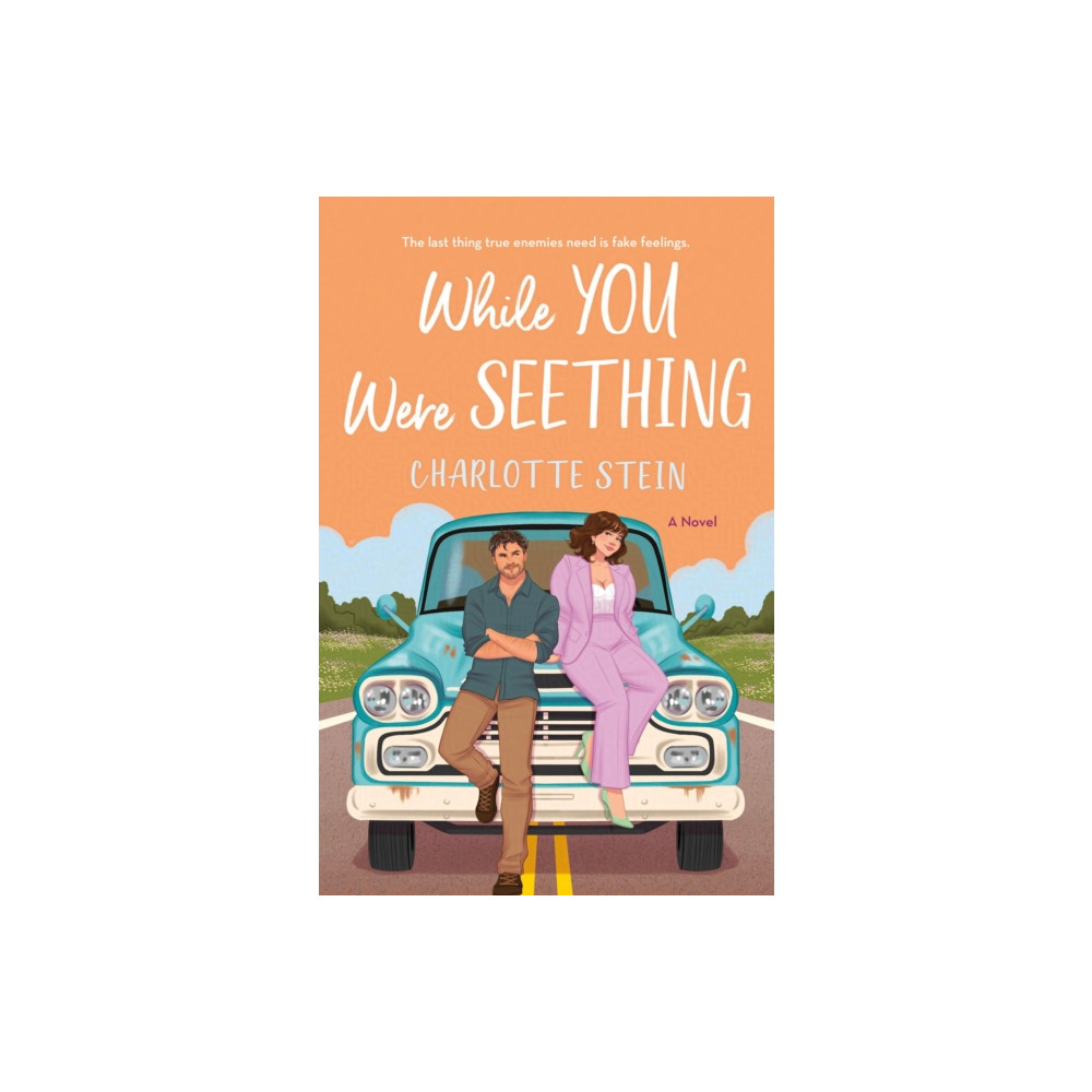 Produktbild för While You Were Seething (häftad, eng)