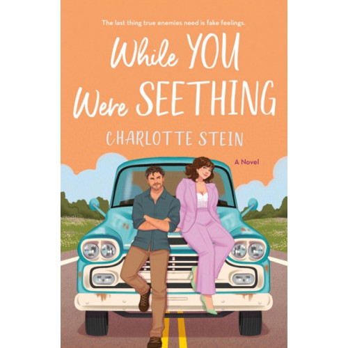 St. Martin's Publishing Group While You Were Seething (häftad, eng)