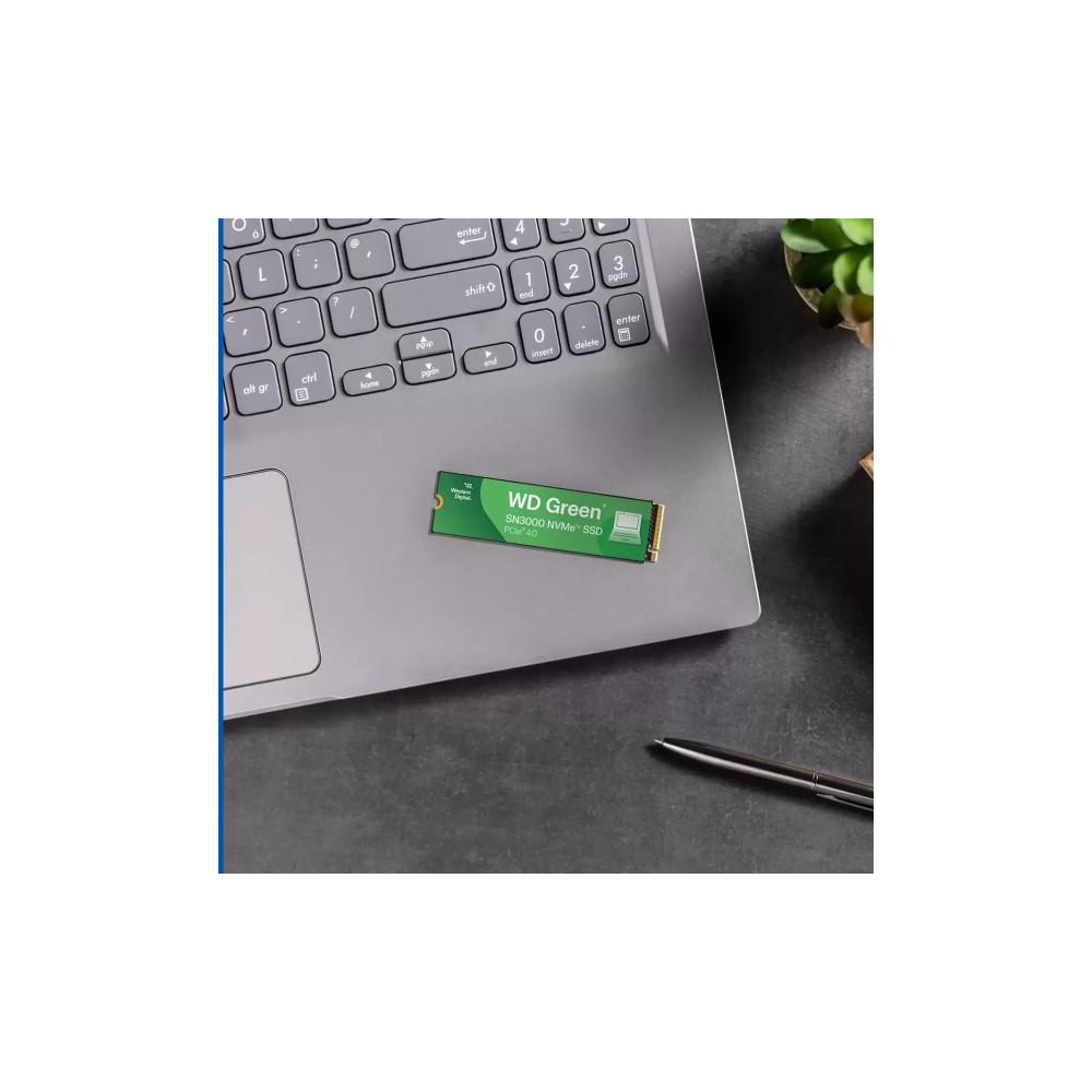Produktbild för WD Green SN3000 WDS500G4G0E-00CPS0 - SSD - 500 GB - PCIe 4.0 x4 (NVMe)
