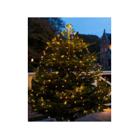 Produktbild för Sirius Knirke julgransljus 312 LED