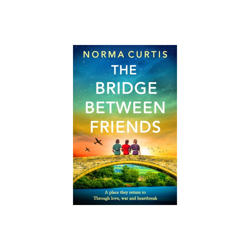 Produktbild för The Bridge Between Friends (häftad, eng)