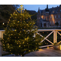 Produktbild för Sirius julgransljus 234 LED