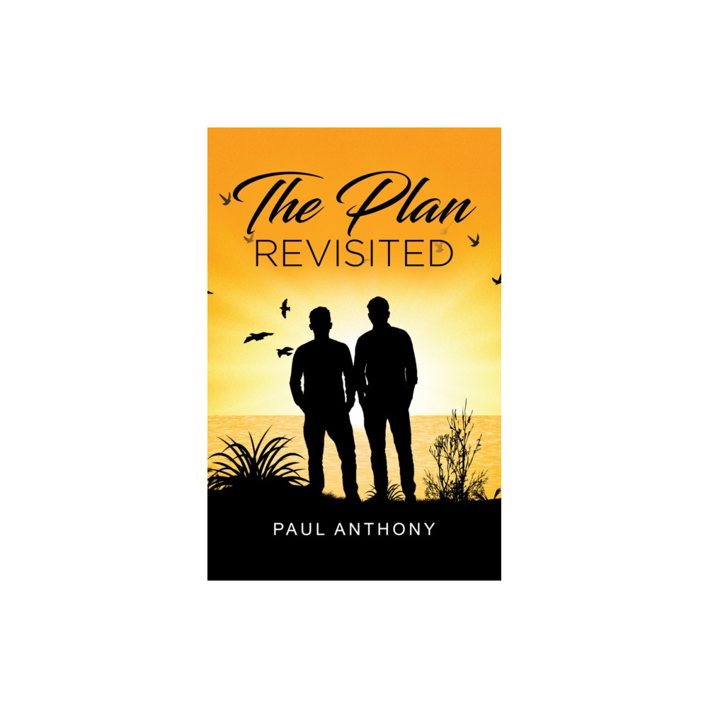 Produktbild för The Plan Revisited (häftad, eng)