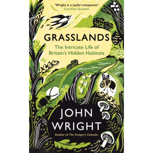 Profile Books Ltd Grasslands (inbunden, eng)