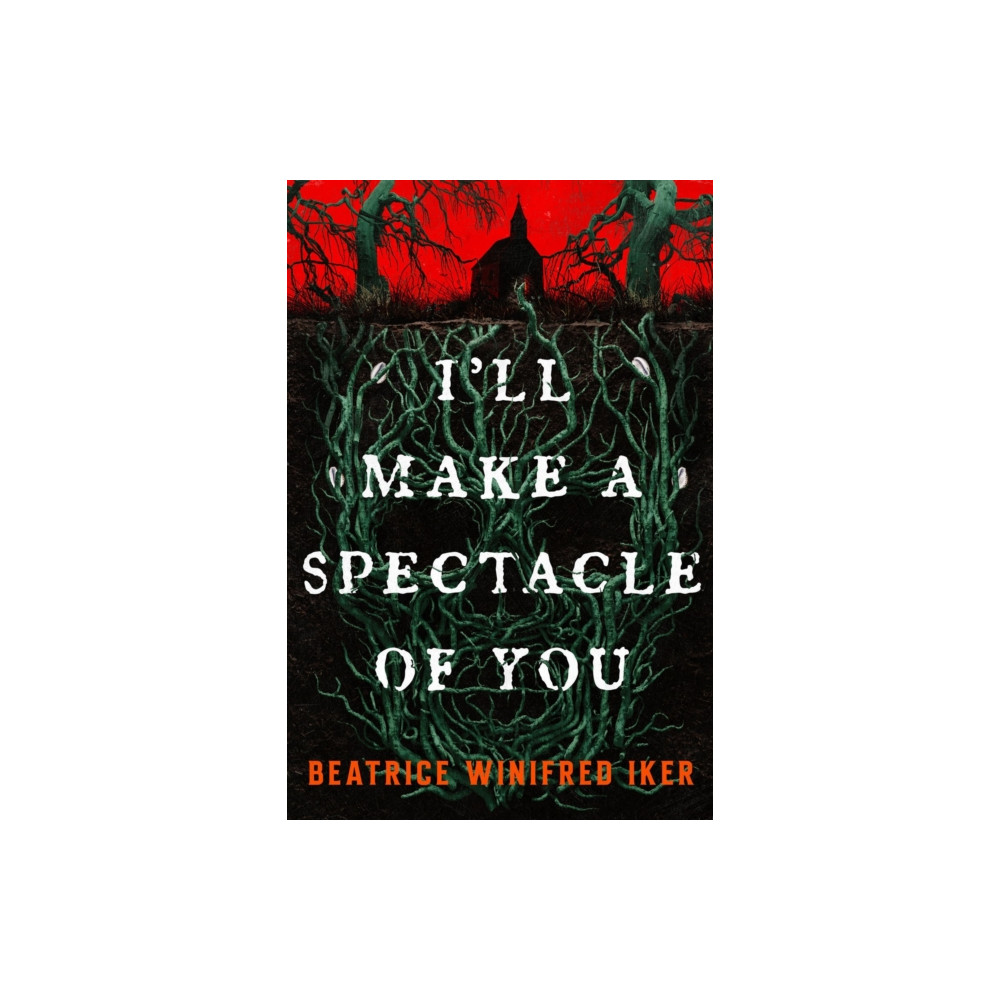 Produktbild för I'll Make A Spectacle of You (häftad, eng)