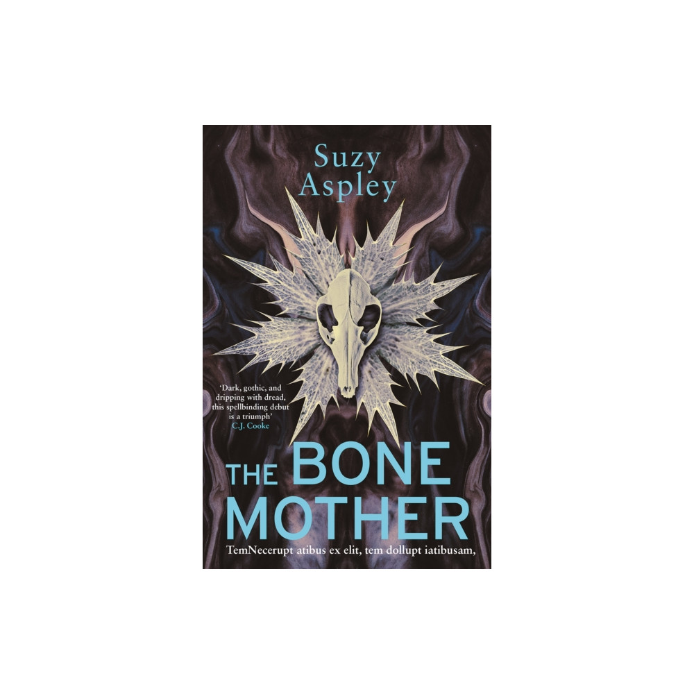 Produktbild för The Bone Mother (häftad, eng)