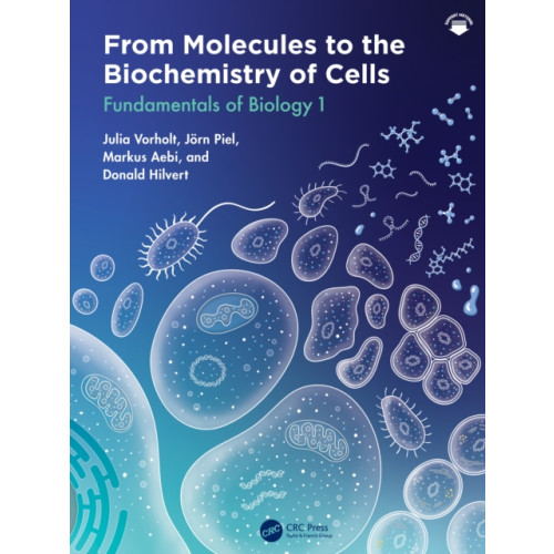 Taylor & francis ltd From Molecules to the Biochemistry of Cells (häftad, eng)