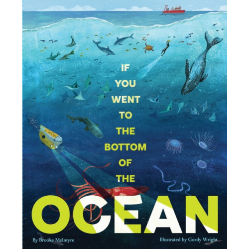 Chronicle Books If You Went to the Bottom of the Ocean (inbunden, eng)