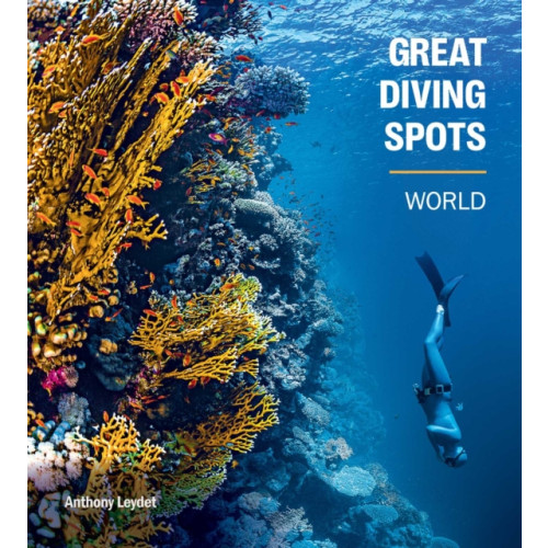Rockpool Publishing Great Diving Spots - World (inbunden, eng)