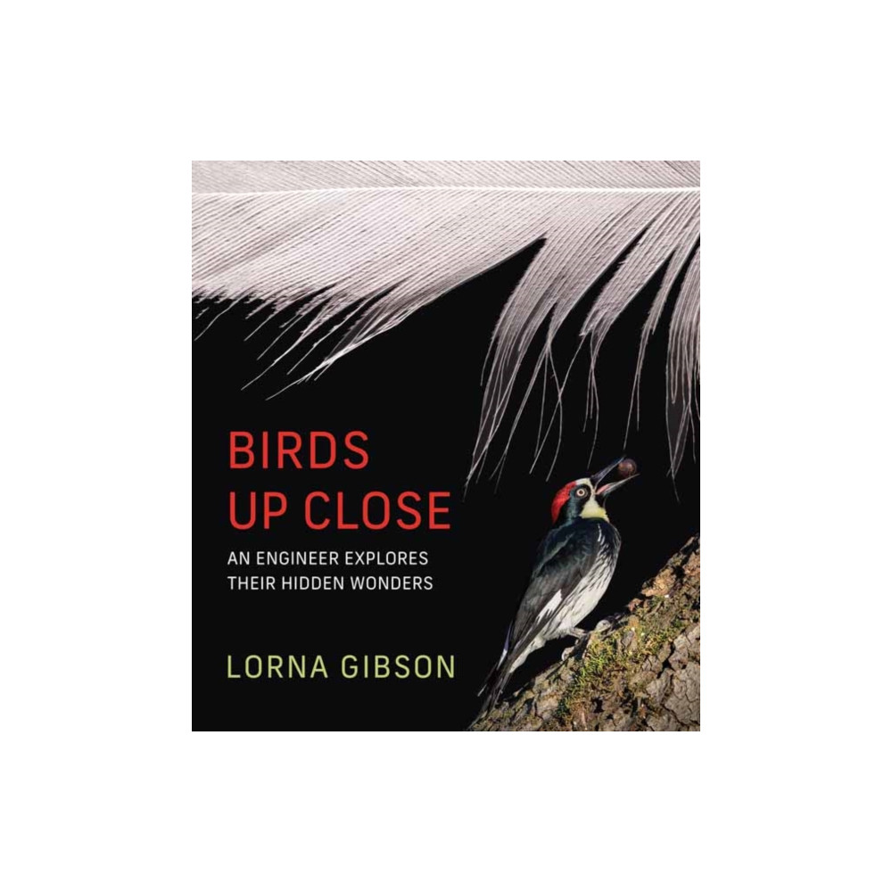 Produktbild för Birds Up Close (inbunden, eng)