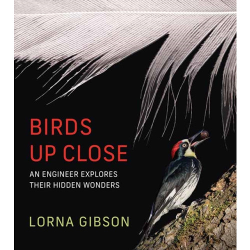 Mit press ltd Birds Up Close (inbunden, eng)