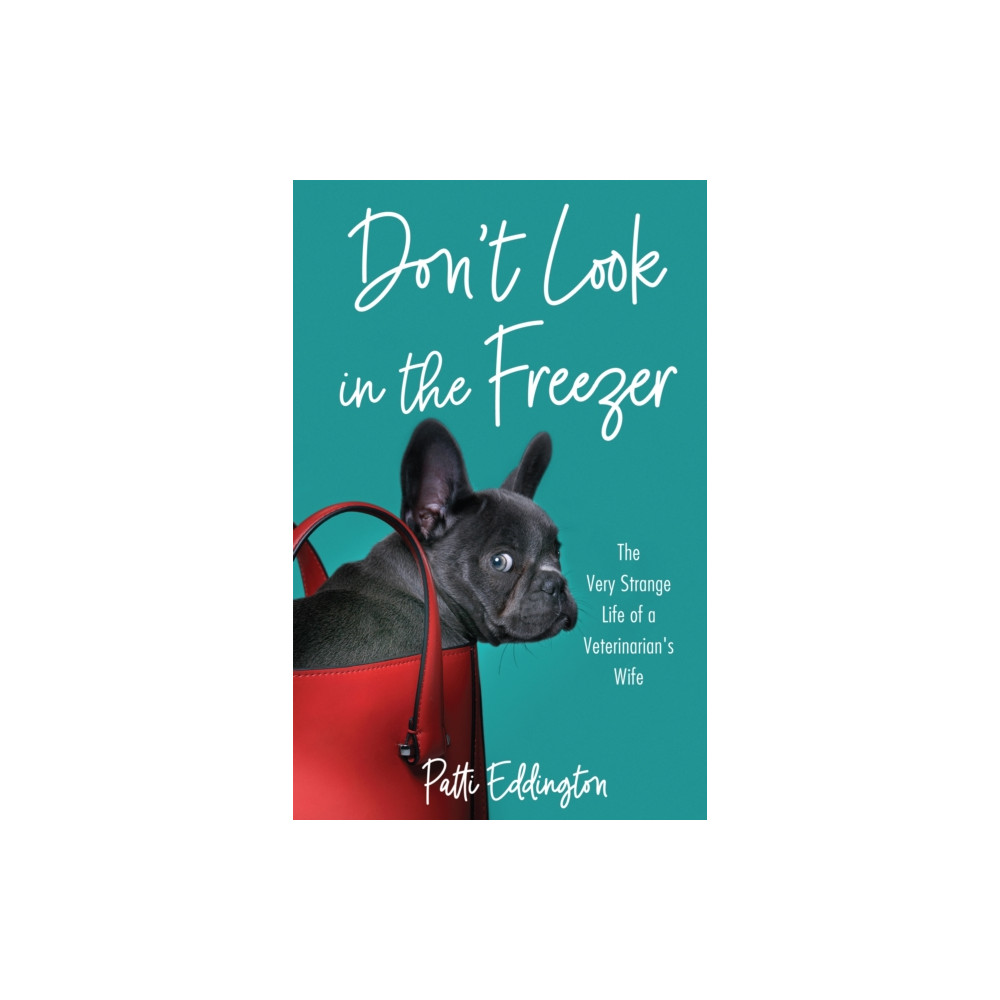 Produktbild för Don't Look in the Freezer (häftad, eng)