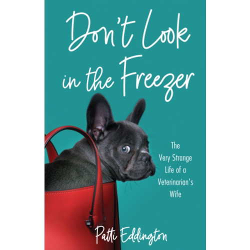 She Writes Press Don't Look in the Freezer (häftad, eng)