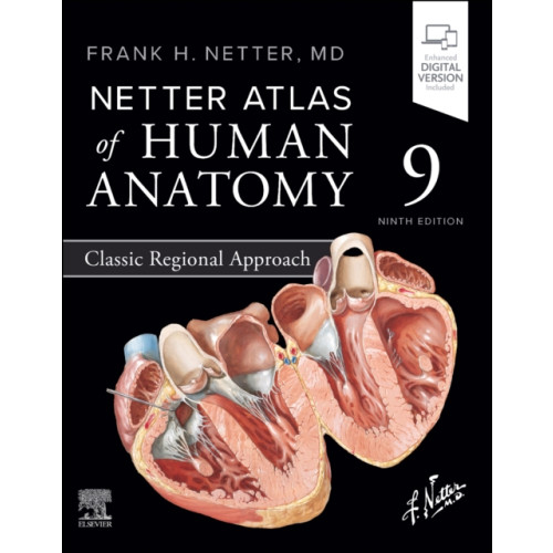 Elsevier Health Sciences Netter Atlas of Human Anatomy: Classic Regional Approach (häftad, eng)