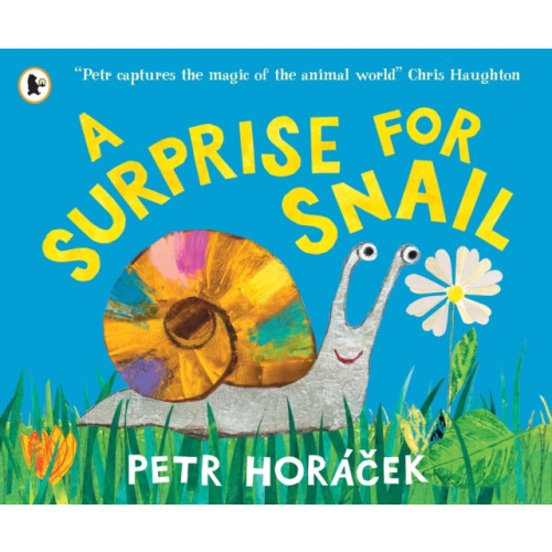 Walker Books Ltd A Surprise for Snail (häftad, eng)
