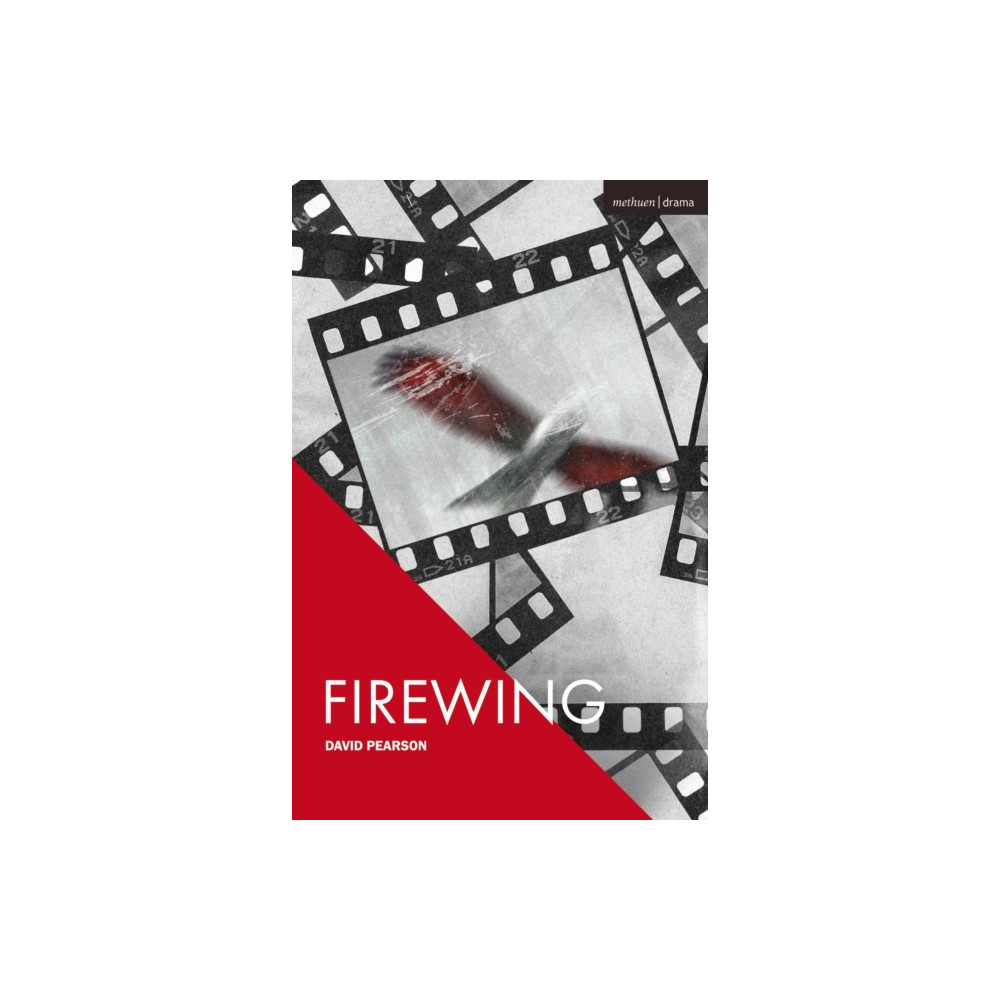 Produktbild för Firewing (häftad, eng)