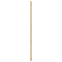 Produktbild för Inredningsdörr Naturlig 61 x 198,5 cm Plywood