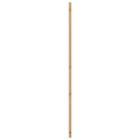 Produktbild för Inredningsdörr Naturlig 86 x 198,5 cm Plywood