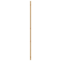 Produktbild för Inredningsdörr Naturlig 86 x 211 cm Plywood