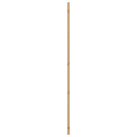 Produktbild för Inredningsdörr Naturlig 93 x 211 cm Plywood