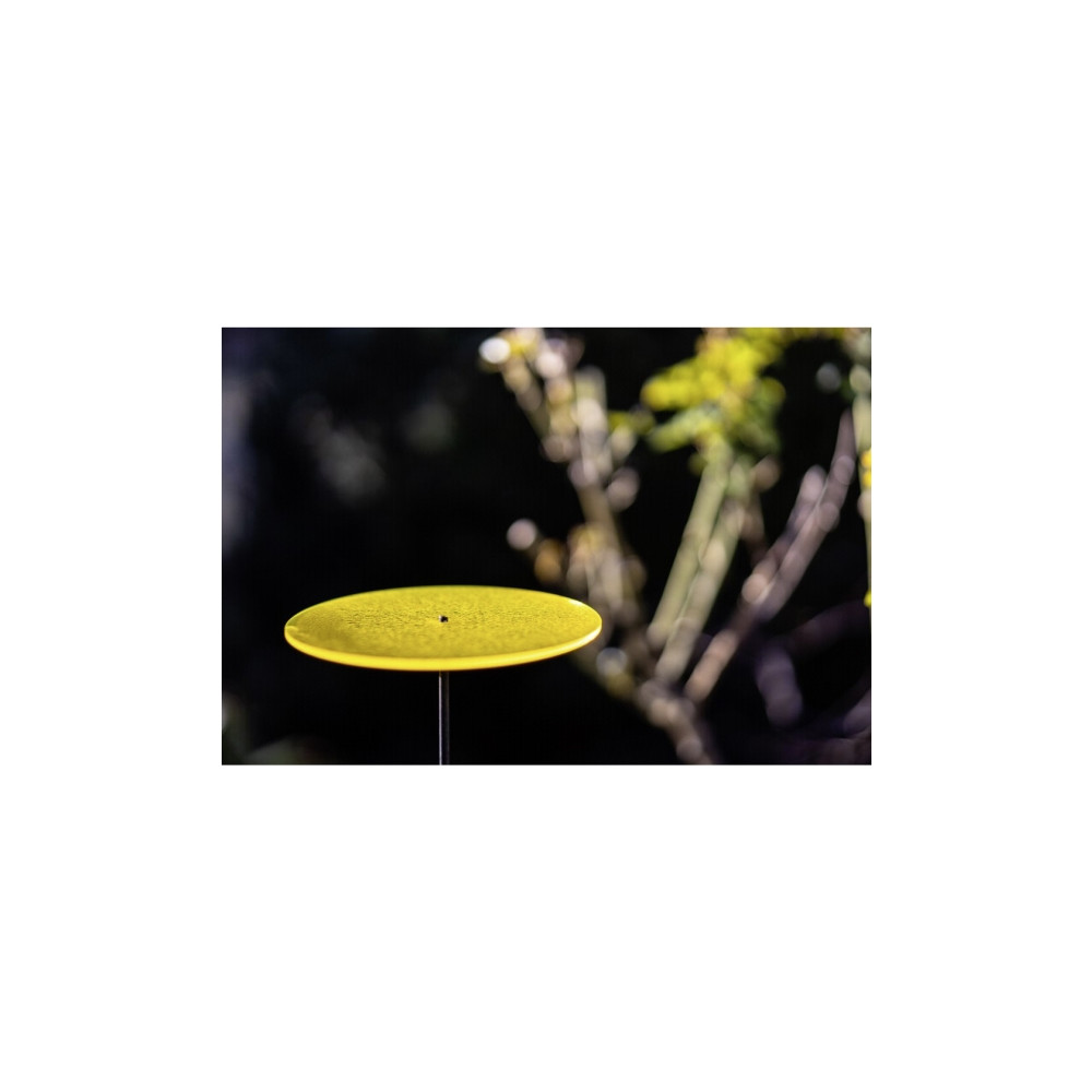 Produktbild för Samyang MF teleobjektiv - 85 mm