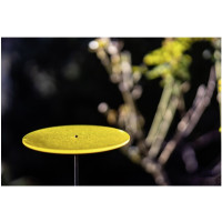 Produktbild för Samyang MF teleobjektiv - 85 mm