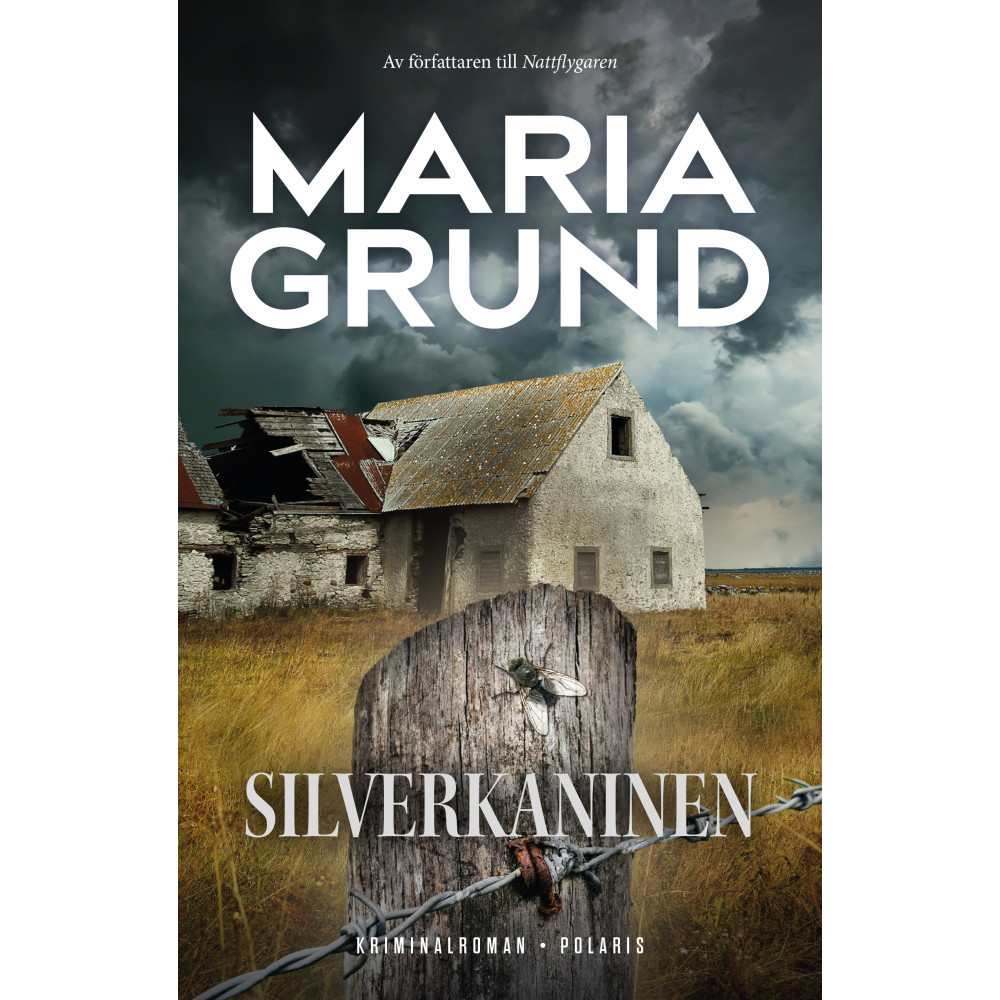 Produktbild för Silverkaninen (pocket)