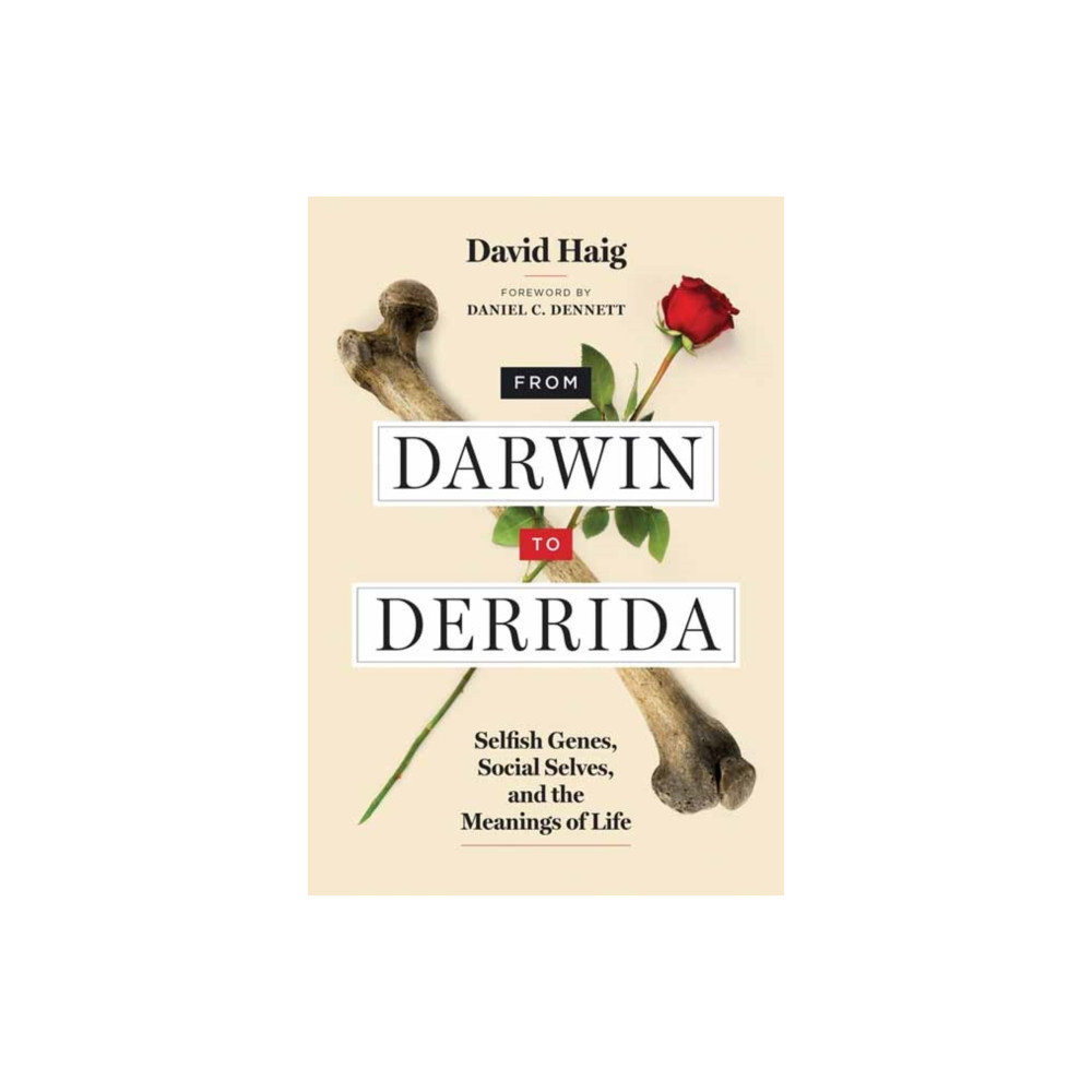 Produktbild för From Darwin to Derrida (häftad, eng)