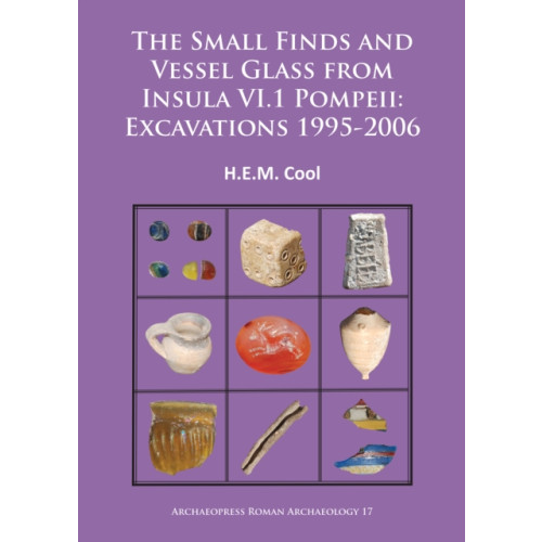 Archaeopress The Small Finds and Vessel Glass from Insula VI.1 Pompeii: Excavations 1995-2006 (häftad, eng)