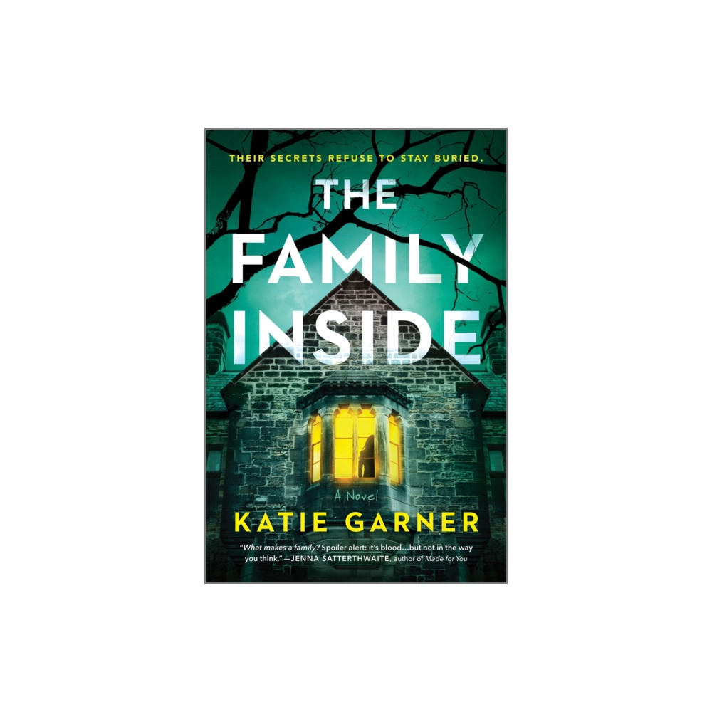 Produktbild för The Family Inside (häftad, eng)