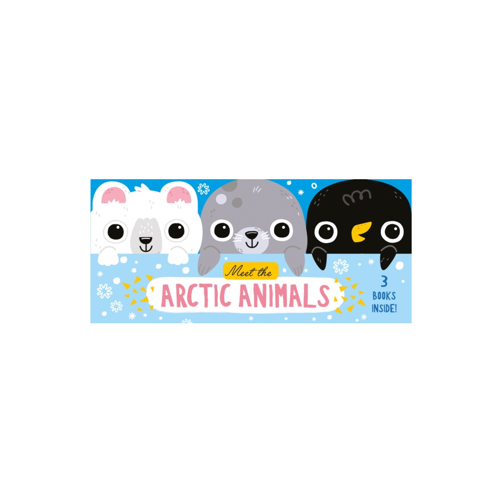 Produktbild för Meet the Arctic Animals (bok, board book, eng)