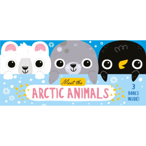 North Parade Publishing Meet the Arctic Animals (bok, board book, eng)