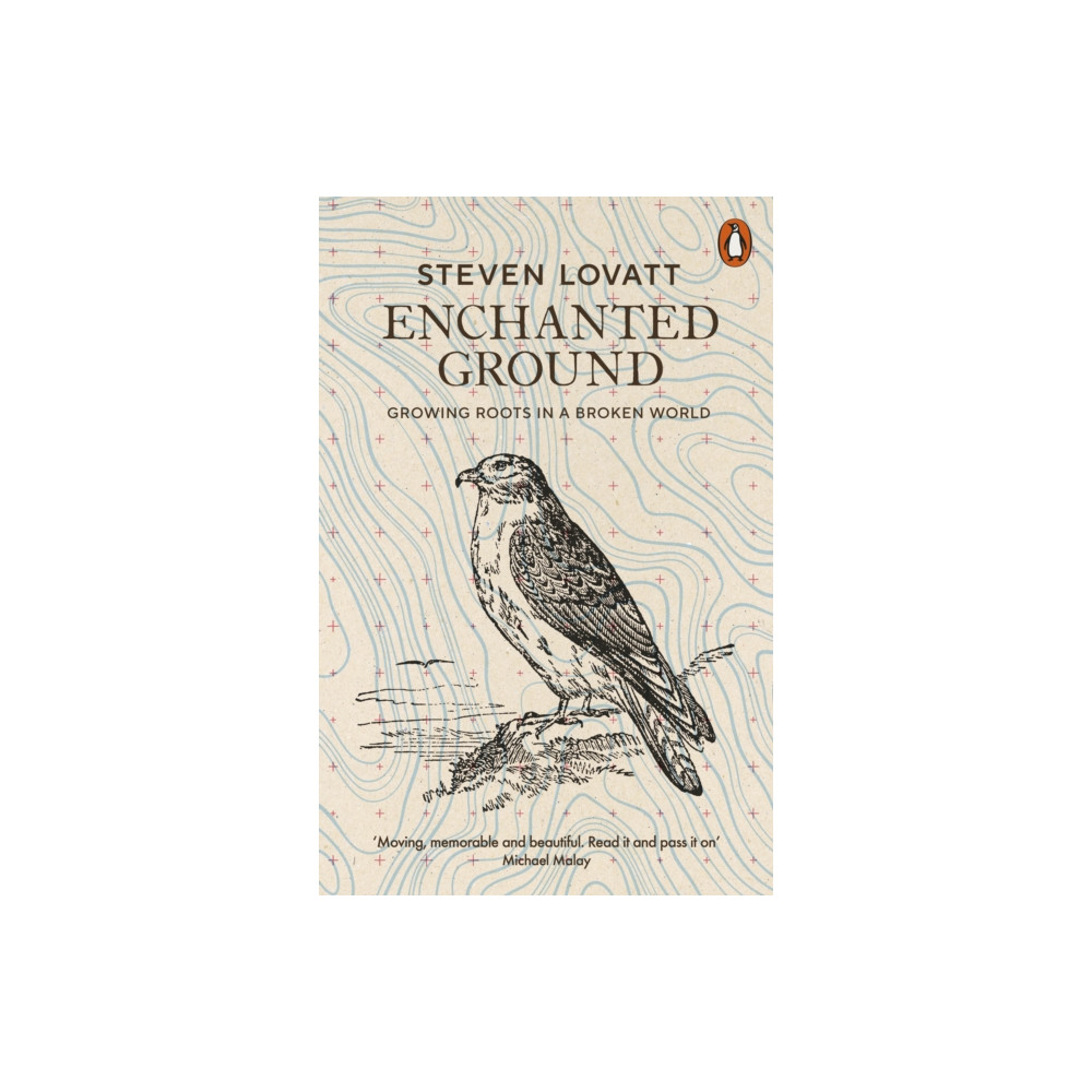 Produktbild för Enchanted Ground (häftad, eng)