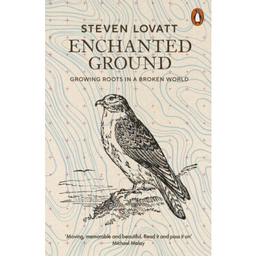 Penguin books ltd Enchanted Ground (häftad, eng)