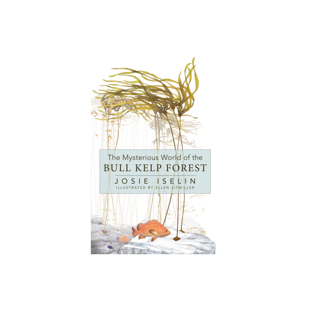 Produktbild för The Mysterious World of the Bull Kelp Forest (inbunden, eng)