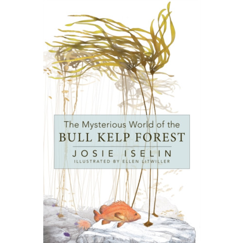 Heyday Books The Mysterious World of the Bull Kelp Forest (inbunden, eng)
