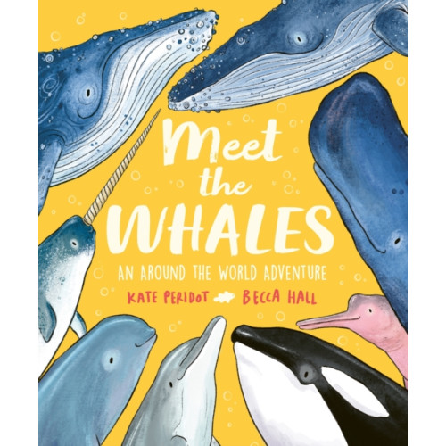 Hachette Children's Group Meet the Whales (häftad, eng)
