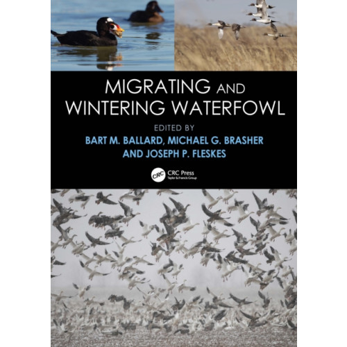 Taylor & francis ltd Migrating and Wintering Waterfowl (häftad, eng)