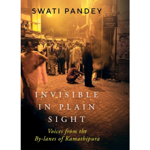 Juggernaut Publication Invisible in Plain Sight (inbunden, eng)