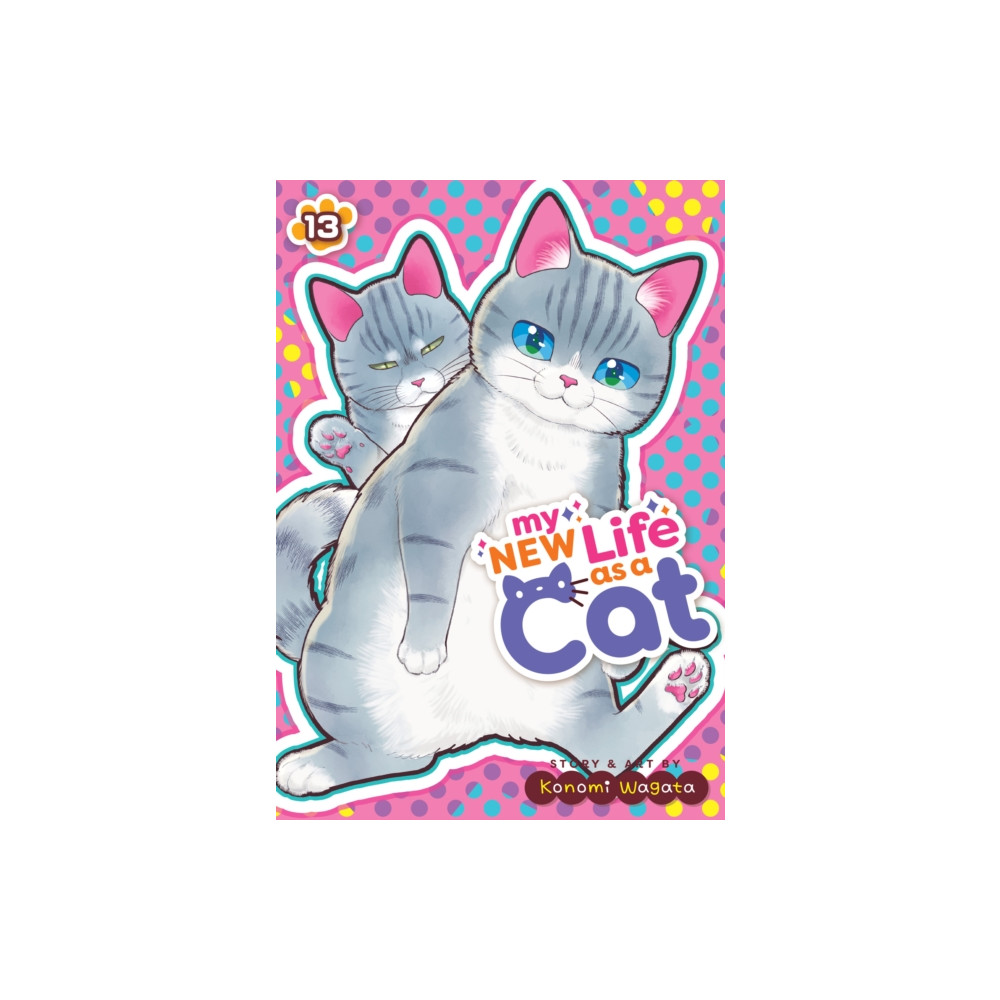 Produktbild för My New Life as a Cat Vol. 13 (häftad, eng)