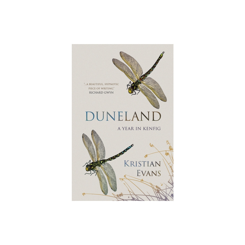 Produktbild för Duneland (häftad, eng)