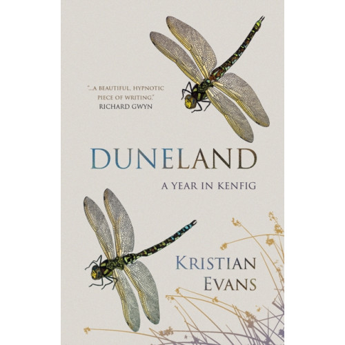 Poetry Wales Press Duneland (häftad, eng)