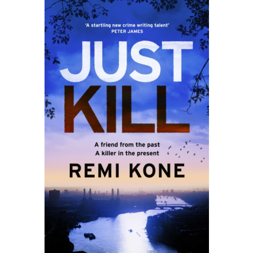 Quercus Publishing Just Kill (häftad, eng)