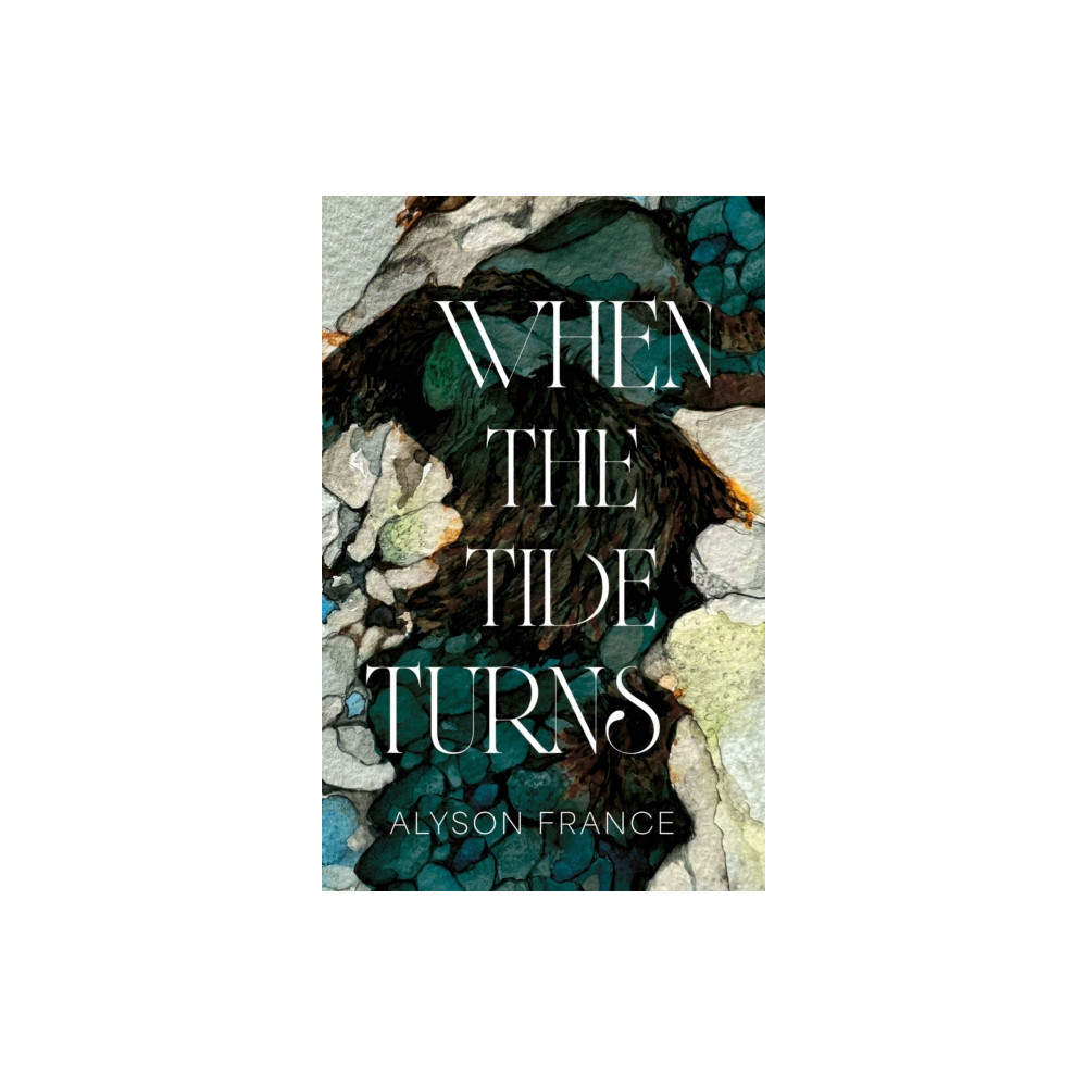 Produktbild för When The Tide Turns (häftad, eng)