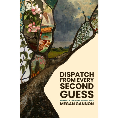 Dzanc Books Dispatch From Every Second Guess (häftad, eng)