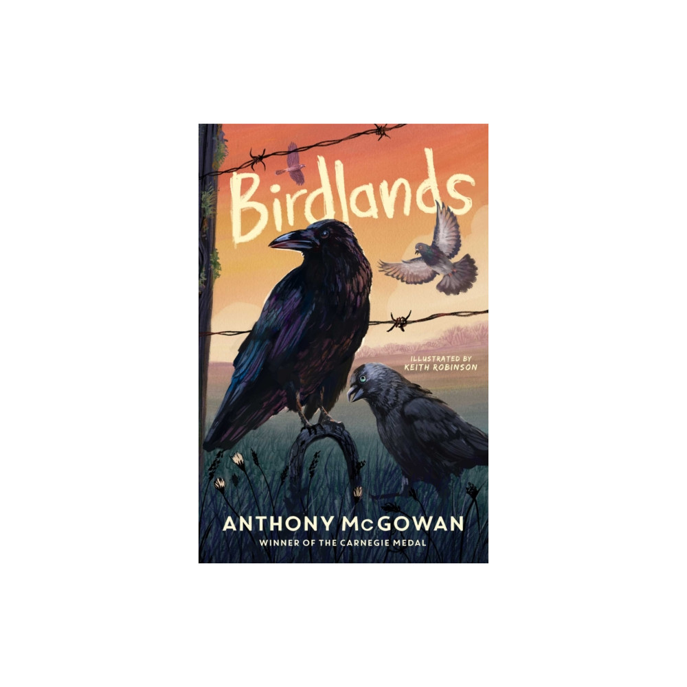 Produktbild för Birdlands (häftad, eng)
