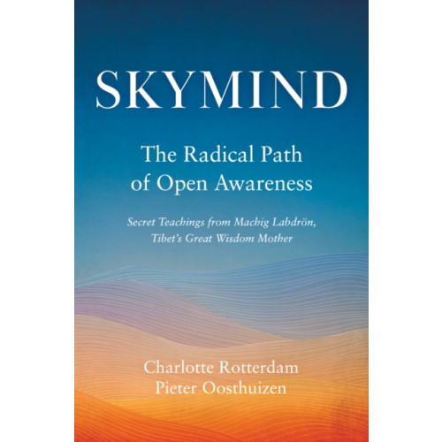 Shambhala Publications Inc Skymind (häftad, eng)