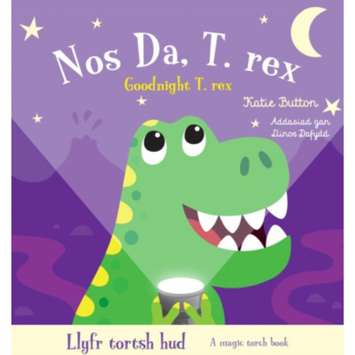 Rily Publications Ltd Llyfr Tortsh Hud: Nos Da T.rex / Magic Torch Book: Goodnight T.rex (bok, board book, wel)