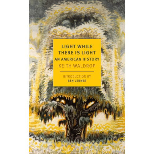 New York Review Books Light While There is Light (häftad, eng)