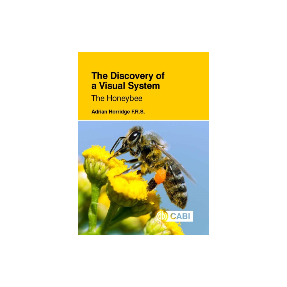 Produktbild för The Discovery of a Visual System: The Honeybee (häftad, eng)